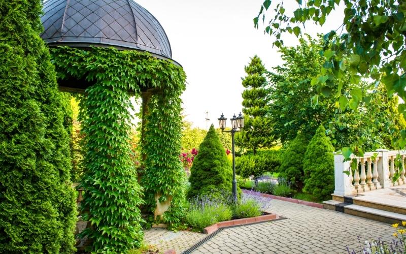 Landscape design