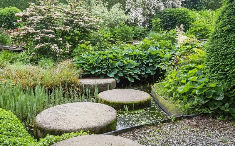 Landscape design